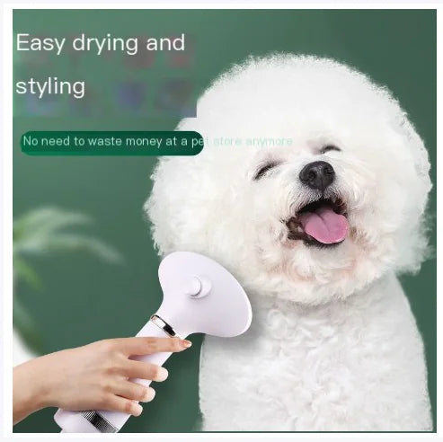 2-in-1 Pet Grooming Brush with Heated Blow Dryer