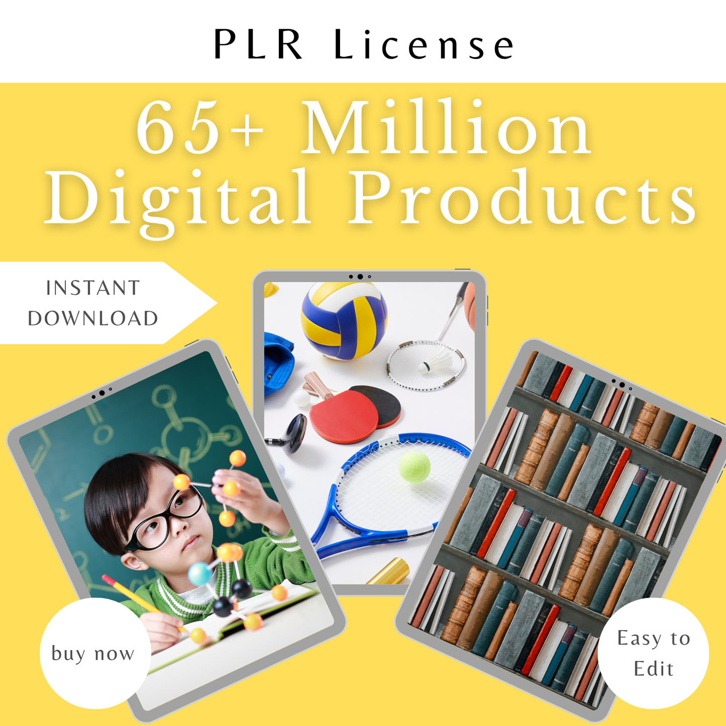 65 Million+ Ultimate PLR MRR Bundle Ideal for Passive Income, Plr Mrr Digital Products, Master Resell Rights, All our PLR Digital Products